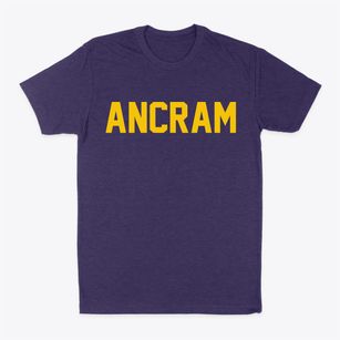 Ancram New York Classic Block Classic Dad T-Shirt