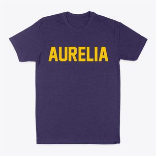 Aurelia Iowa Classic Block Classic Dad T-Shirt