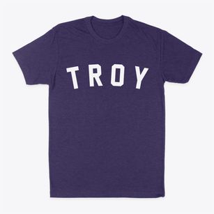 Troy Wisconsin Classic Curve Classic Dad T-Shirt