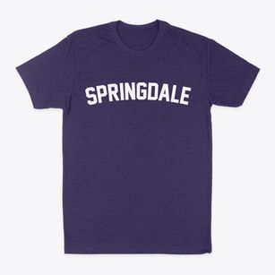 Springdale South Carolina Classic Curve Classic Dad T-Shirt