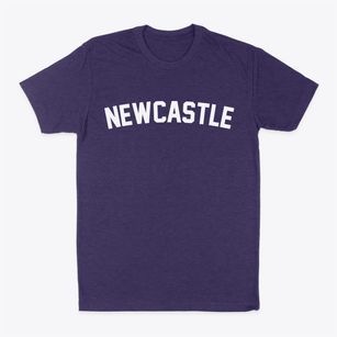 Newcastle Utah Classic Curve Classic Dad T-Shirt