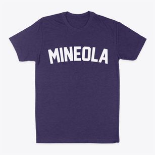 Mineola Iowa Classic Curve Classic Dad T-Shirt