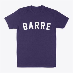 Barre Vermont Classic Curve Classic Dad T-Shirt