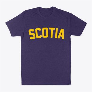 Scotia Nebraska Classic Curve Classic Dad T-Shirt