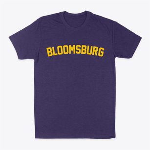 Bloomsburg Pennsylvania Classic Curve Classic Dad T-Shirt
