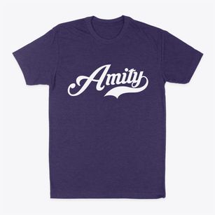 Amity New York Vintage Team Classic Dad T-Shirt