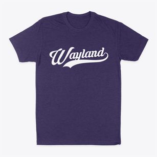 Wayland Missouri Vintage Team Classic Dad T-Shirt