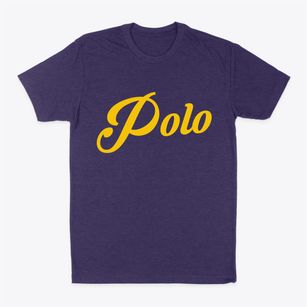 Polo Missouri Vintage Team Classic Dad T-Shirt