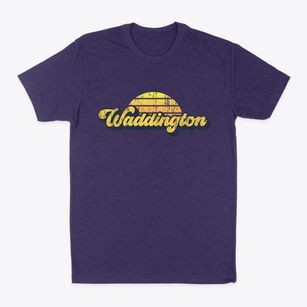 Waddington New York Sublime Sunset Classic Dad T-Shirt