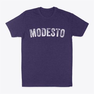 Modesto California Timeless Retro Classic Dad T-Shirt