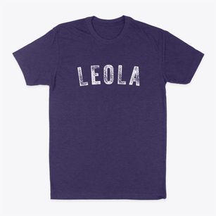 Leola Wisconsin Timeless Retro Classic Dad T-Shirt