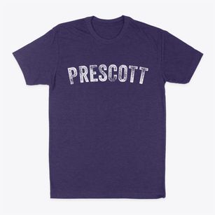 Prescott Michigan Timeless Retro Classic Dad T-Shirt