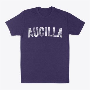 Aucilla Florida Timeless Retro Classic Dad T-Shirt