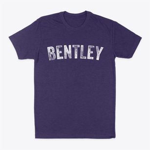 Bentley Iowa Timeless Retro Classic Dad T-Shirt
