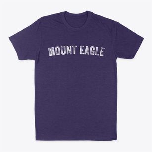 Mount Eagle Pennsylvania Timeless Retro Classic Dad T-Shirt