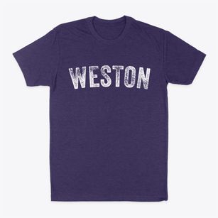 Weston Florida Timeless Retro Classic Dad T-Shirt