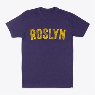 Roslyn New York Timeless Retro Classic Dad T-Shirt