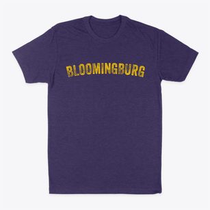 Bloomingburg New York Timeless Retro Classic Dad T-Shirt