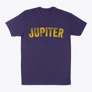 Jupiter Florida Timeless Retro Classic Dad T-Shirt