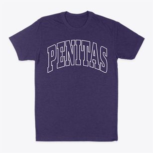 Penitas Texas Trendy Block Classic Dad T-Shirt