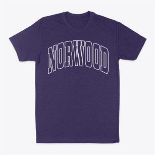 Norwood North Carolina Trendy Block Classic Dad T-Shirt