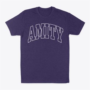 Amity Arkansas Trendy Block Classic Dad T-Shirt