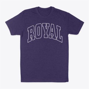 Royal Illinois Trendy Block Classic Dad T-Shirt