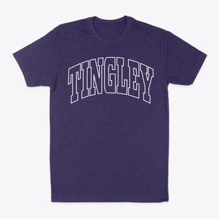 Tingley Iowa Trendy Block Classic Dad T-Shirt