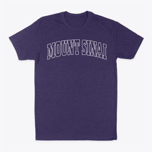 Mount Sinai New York Trendy Block Classic Dad T-Shirt