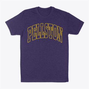 Pellston Michigan Trendy Block Classic Dad T-Shirt