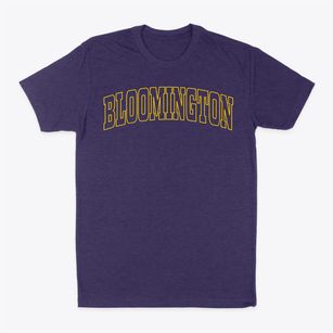 Bloomington Wisconsin Trendy Block Classic Dad T-Shirt