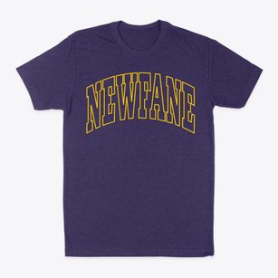 Newfane New York Trendy Block Classic Dad T-Shirt