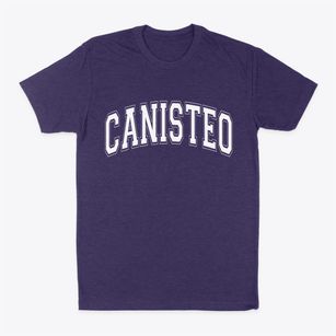 Canisteo New York Varsity Classic Dad T-Shirt