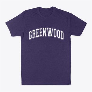 Greenwood South Carolina Varsity Classic Dad T-Shirt