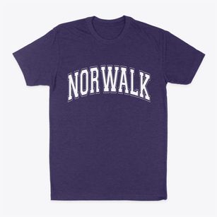Norwalk California Varsity Classic Dad T-Shirt