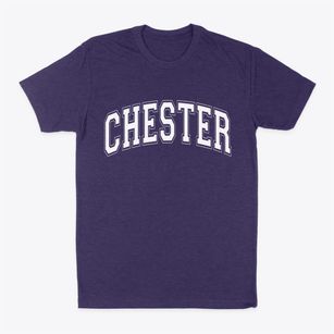 Chester New York Varsity Classic Dad T-Shirt