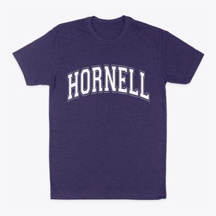 Hornell New York Varsity Classic Dad T-Shirt