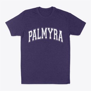 Palmyra New York Varsity Classic Dad T-Shirt