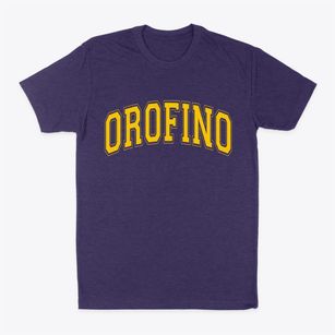 Orofino Idaho Varsity Classic Dad T-Shirt