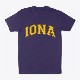 Iona Minnesota Varsity Classic Dad T-Shirt