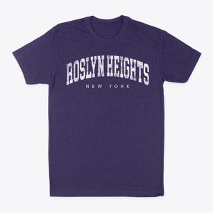Roslyn Heights New York Urban Vibe Classic Dad T-Shirt