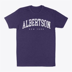 Albertson New York Urban Vibe Classic Dad T-Shirt