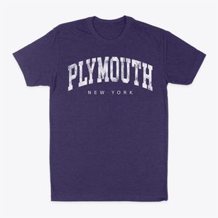 Plymouth New York Urban Vibe Classic Dad T-Shirt