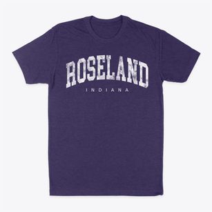 Roseland Indiana Urban Vibe Classic Dad T-Shirt