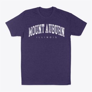 Mount Auburn Illinois Urban Vibe Classic Dad T-Shirt
