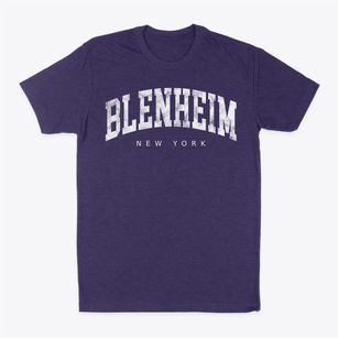 Blenheim New York Urban Vibe Classic Dad T-Shirt