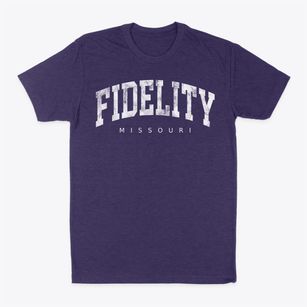 Fidelity Missouri Urban Vibe Classic Dad T-Shirt
