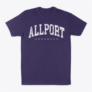 Allport Arkansas Urban Vibe Classic Dad T-Shirt