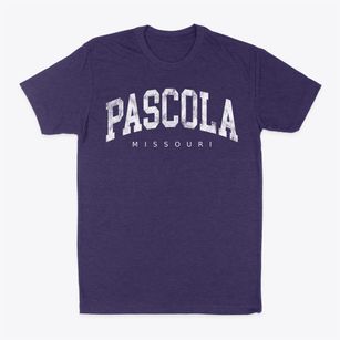 Pascola Missouri Urban Vibe Classic Dad T-Shirt