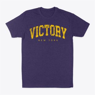 Victory New York Urban Vibe Classic Dad T-Shirt